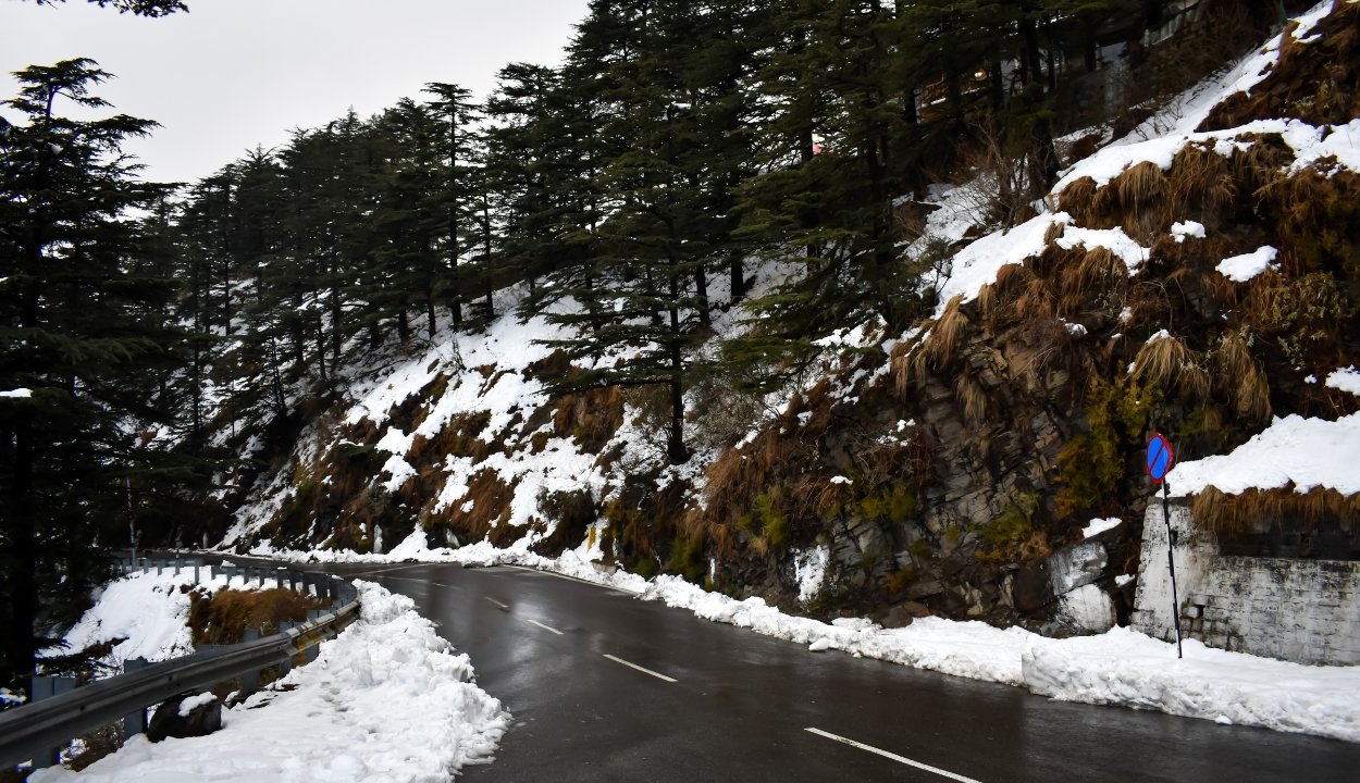 shimla snow fall
